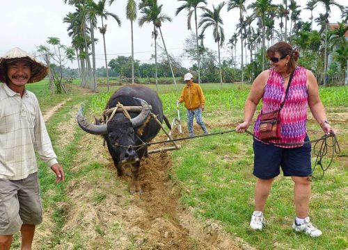 Tra Que Vegetable Village with a Cooking Class Tour